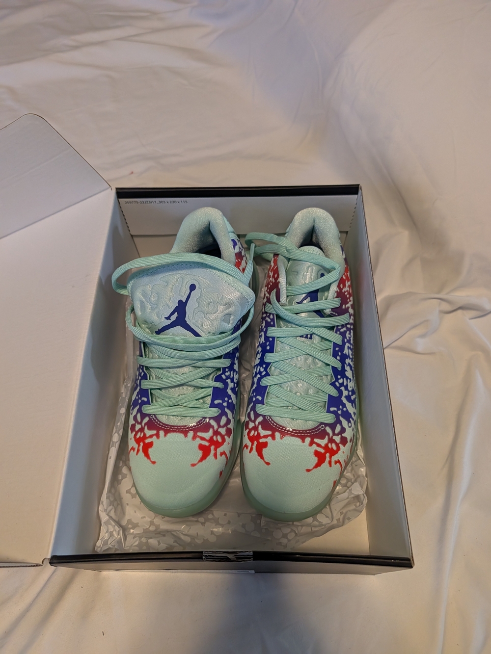 Jordan Kids Low-Top Sneakers in Mint, Blue & Red